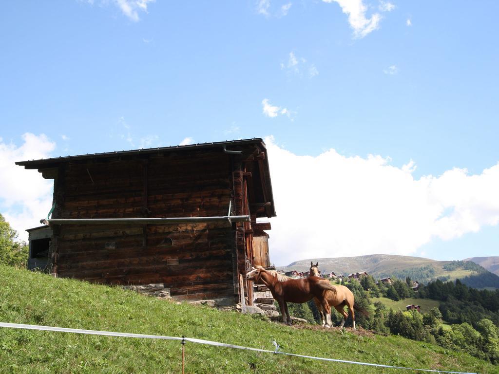 Superb Apartment With Views Of The Alps Bellwald Zewnętrze zdjęcie